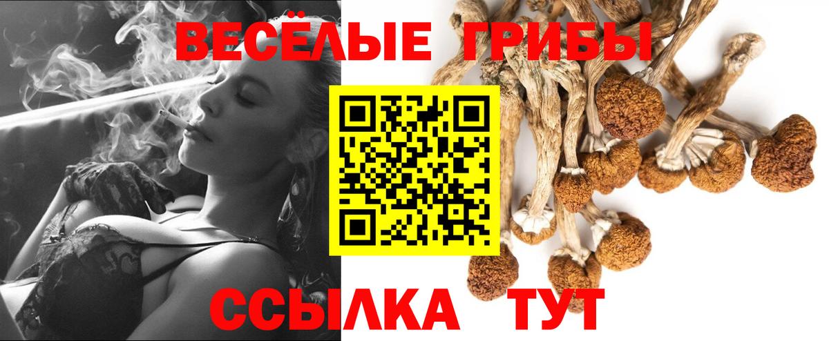 Галлюциногенные грибы прущие грибы  Вход с VPN  Псилоцибиновые грибы мухоморы  Черняховск 